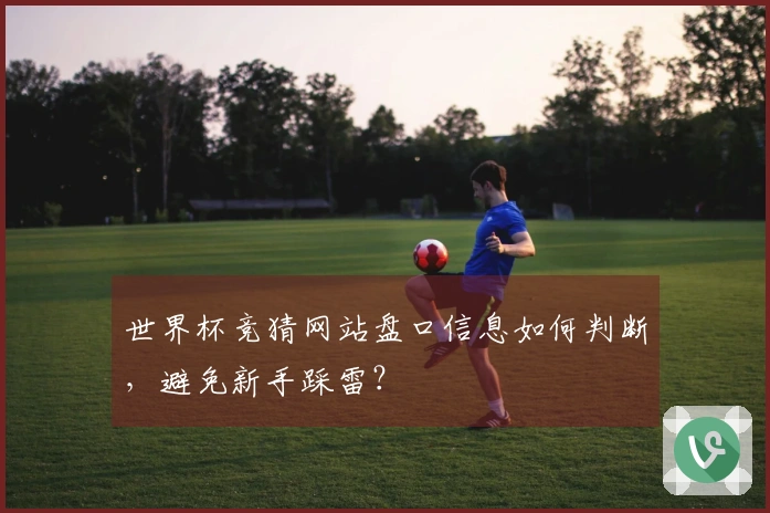 世界杯竞猜网站盘口信息如何判断，避免新手踩雷？