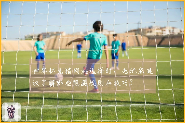 世界杯竞猜网站选择时，老玩家建议了解哪些隐藏规则和技巧？