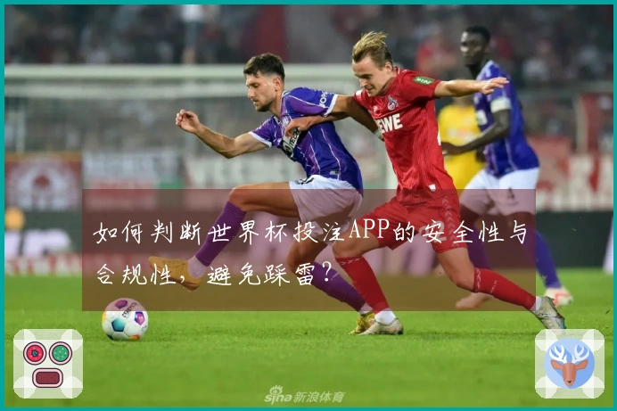 如何判断世界杯投注APP的安全性与合规性，避免踩雷？