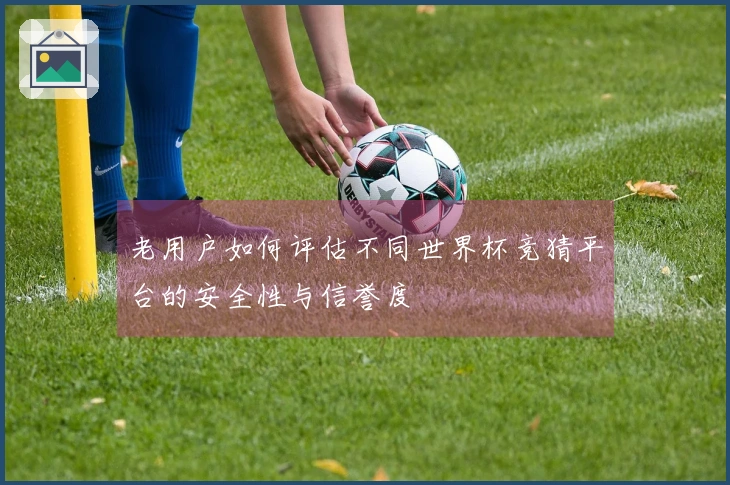 老用户如何评估不同世界杯竞猜平台的安全性与信誉度