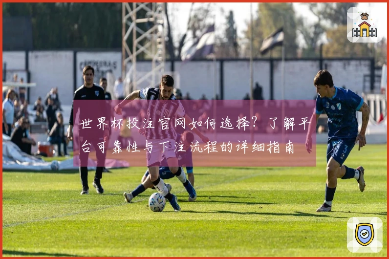 世界杯投注官网如何选择？了解平台可靠性与下注流程的详细指南