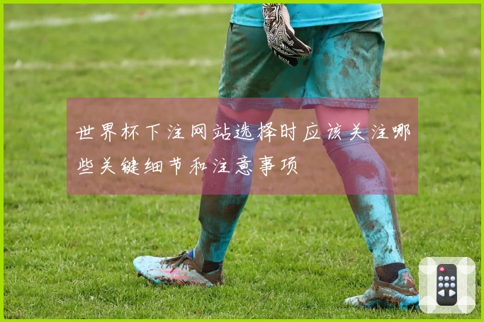 世界杯下注网站选择时应该关注哪些关键细节和注意事项