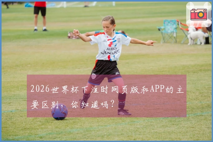 2026世界杯下注时网页版和APP的主要区别，你知道吗？