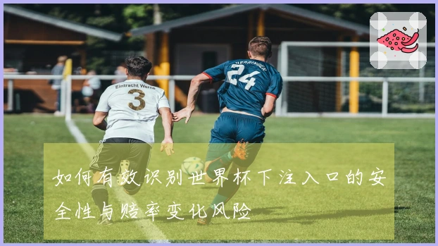 如何有效识别世界杯下注入口的安全性与赔率变化风险