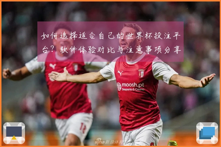 如何选择适合自己的世界杯投注平台？软件体验对比与注意事项分享