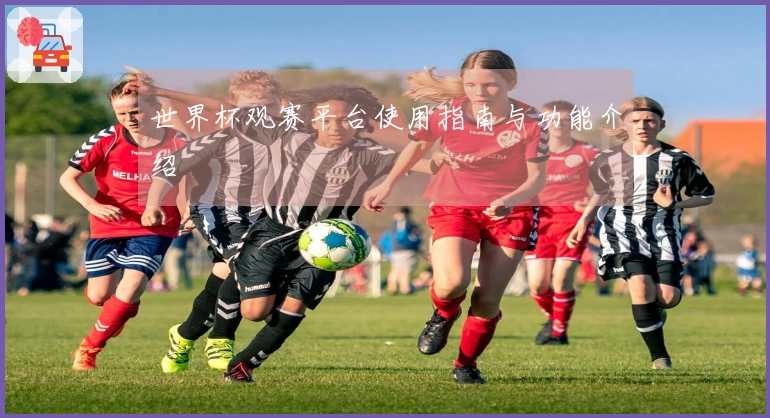 世界杯观赛平台使用指南与功能介绍