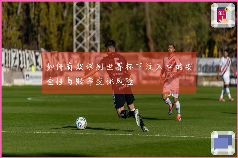 如何有效识别世界杯下注入口的安全性与赔率变化风险