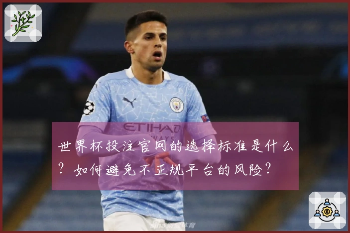 世界杯投注官网的选择标准是什么?如何避免不正规平台的风险?