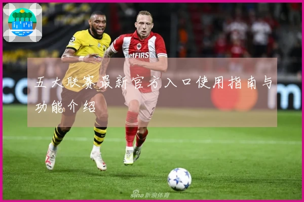 五大联赛最新官方入口使用指南与功能介绍