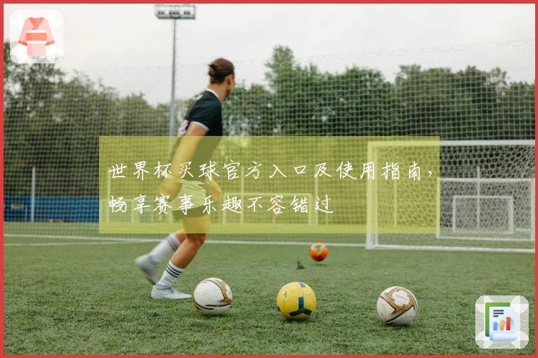 世界杯买球官方入口及使用指南，畅享赛事乐趣不容错过
