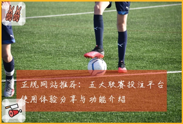正规网站推荐:五大联赛投注平台使用体验分享与功能介绍
