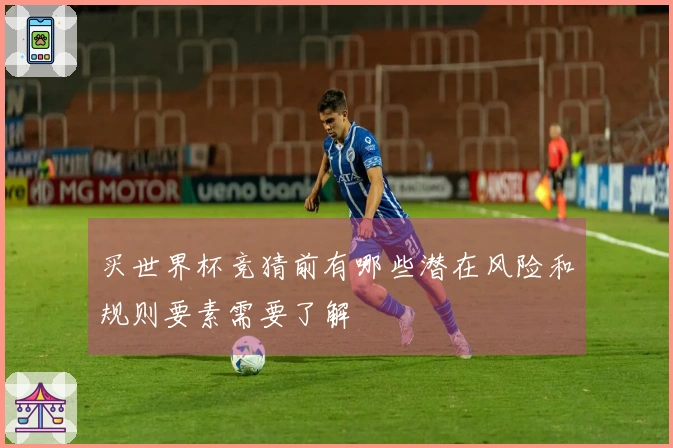 买世界杯竞猜前有哪些潜在风险和规则要素需要了解