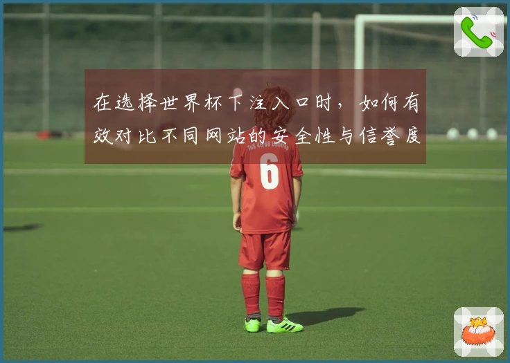 在选择世界杯下注入口时，如何有效对比不同网站的安全性与信誉度？