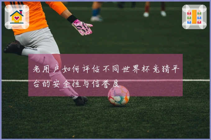 老用户如何评估不同世界杯竞猜平台的安全性与信誉度