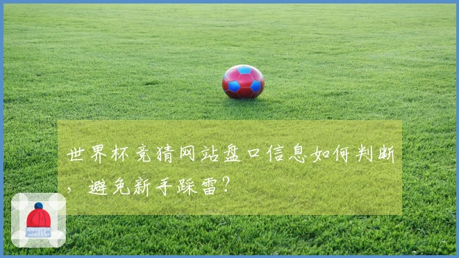 世界杯竞猜网站盘口信息如何判断,避免新手踩雷?