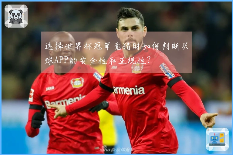 选择世界杯冠军竞猜时如何判断买球APP的安全性和正规性？