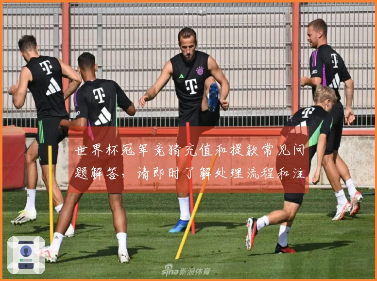 世界杯冠军竞猜充值和提款常见问题解答，请即时了解处理流程和注意事项