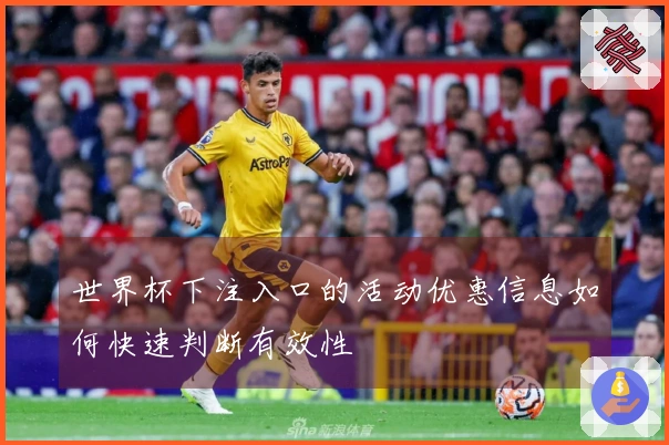 世界杯下注入口的活动优惠信息如何快速判断有效性
