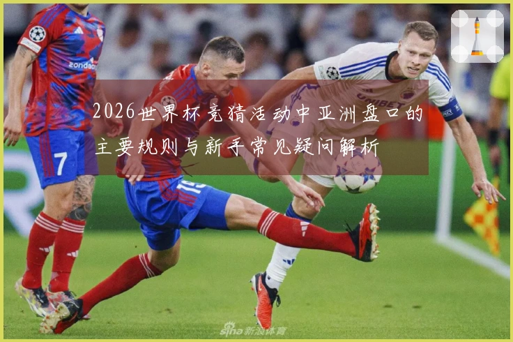 2026世界杯竞猜活动中亚洲盘口的主要规则与新手常见疑问解析