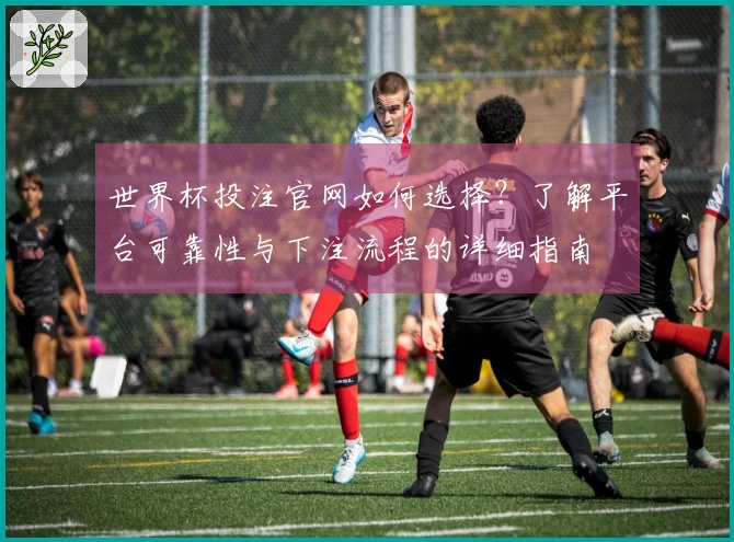 世界杯投注官网如何选择？了解平台可靠性与下注流程的详细指南