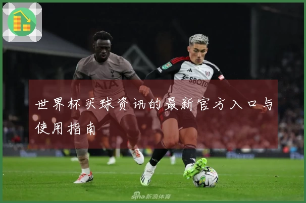 世界杯买球资讯的最新官方入口与使用指南