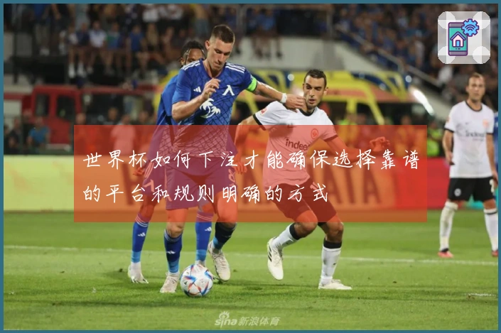 世界杯如何下注才能确保选择靠谱的平台和规则明确的方式