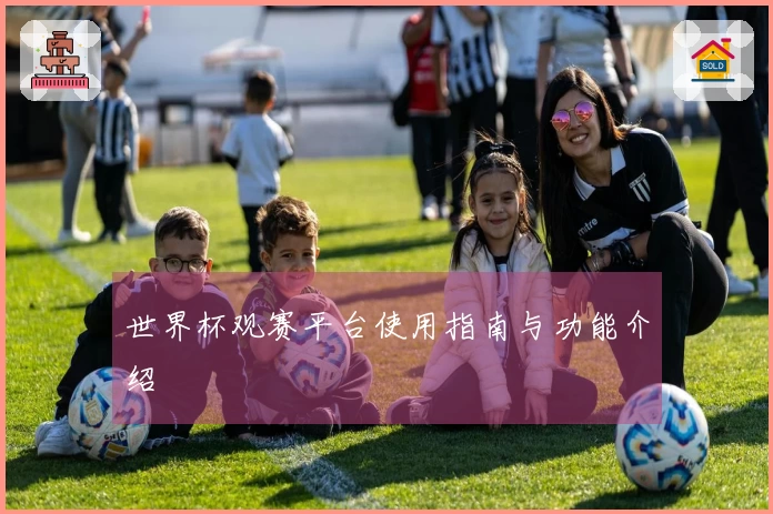 世界杯观赛平台使用指南与功能介绍