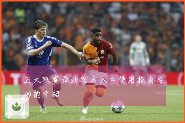 五大联赛最新官方入口使用指南与功能介绍