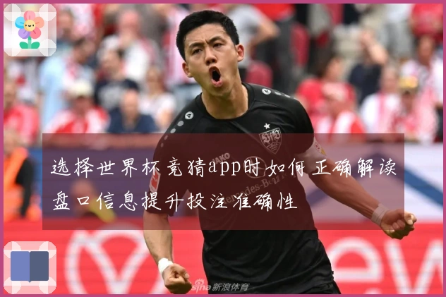 选择世界杯竞猜app时如何正确解读盘口信息提升投注准确性