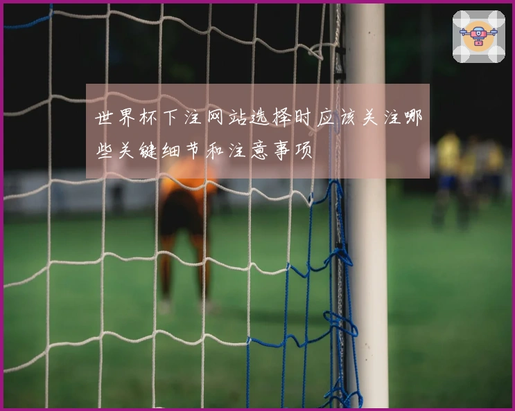 世界杯下注网站选择时应该关注哪些关键细节和注意事项